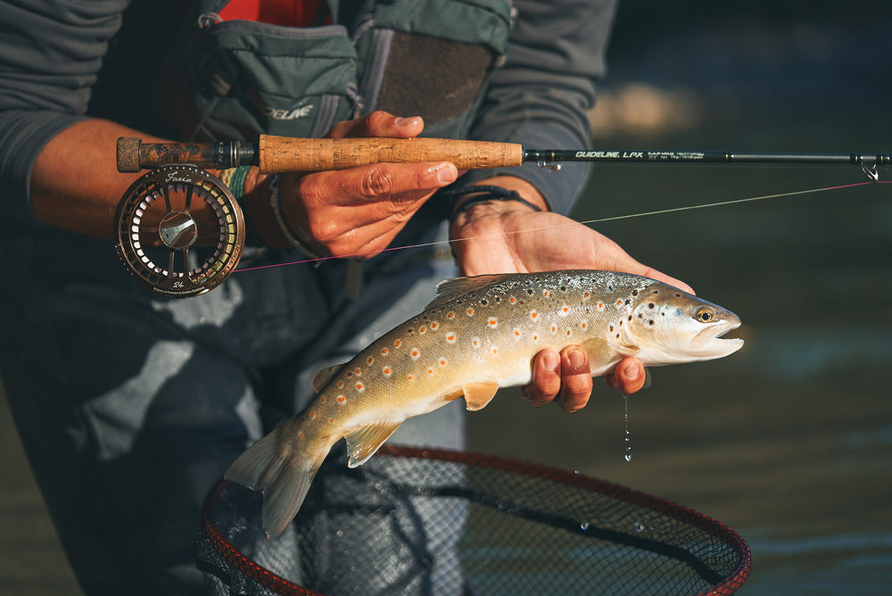 Canne "LPX NYMPH" de Guideline - 10'8