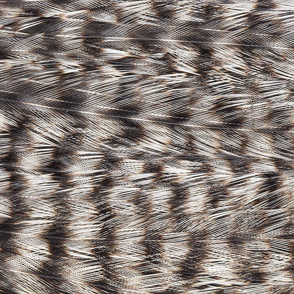 Mini Patch de Plumes de Coq Génétique - 10 Couleurs - Hotfly