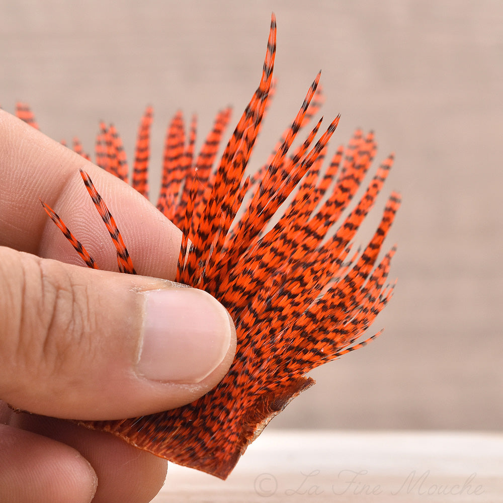 Mini Patch de Plumes de Coq Génétique - 10 Couleurs - Hotfly