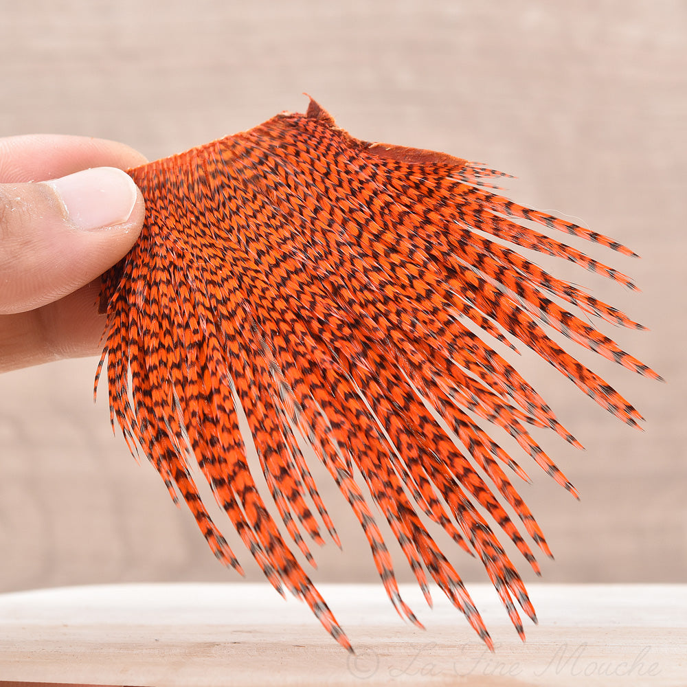 Mini Patch de Plumes de Coq Génétique - 10 Couleurs - Hotfly