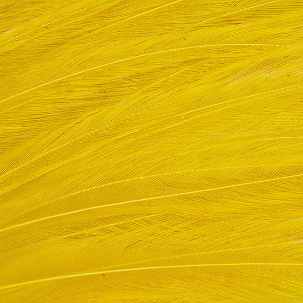 Mini Patch de Plumes de Coq Génétique - 10 Couleurs - Hotfly