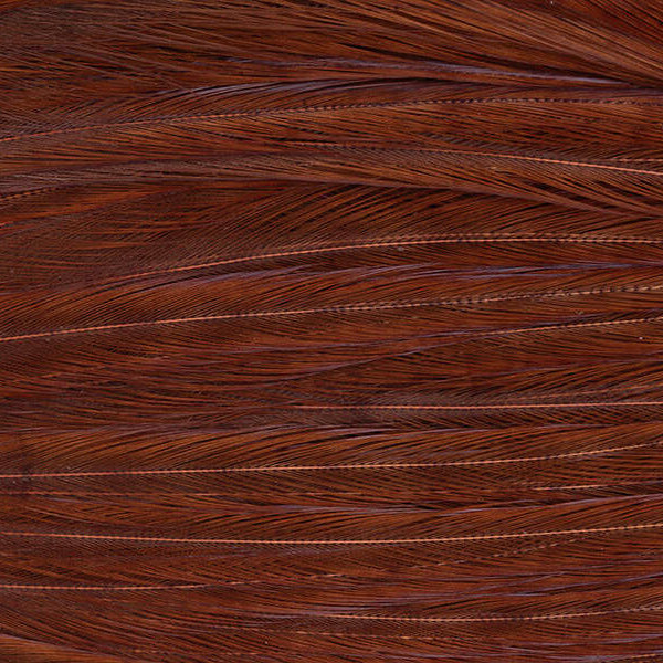 Mini Patch de Plumes de Coq Génétique - 10 Couleurs - Hotfly