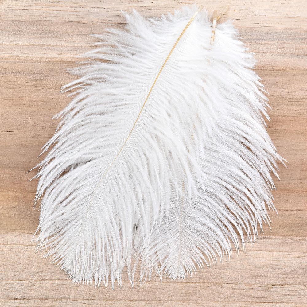 Ostrich Feathers 15-20cm - Pack of 10 feathers
