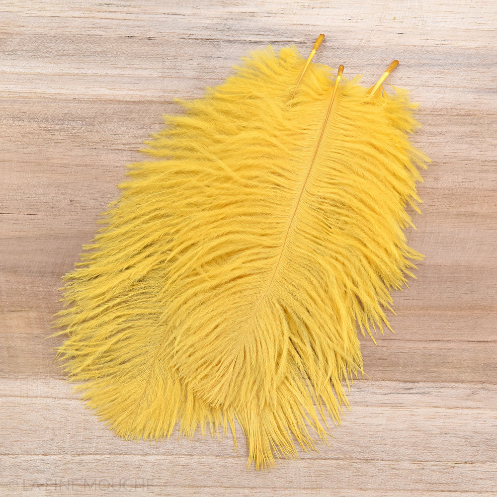 Ostrich Feathers 15-20cm - Pack of 10 feathers