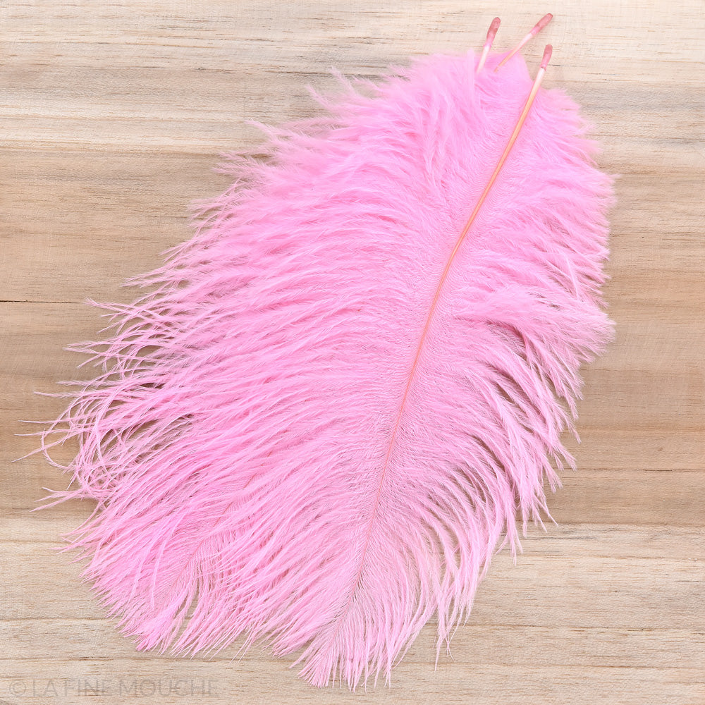 Ostrich Feathers 15-20cm - Pack of 10 feathers