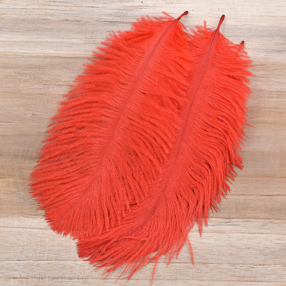 Ostrich Feathers 15-20cm - Pack of 10 feathers