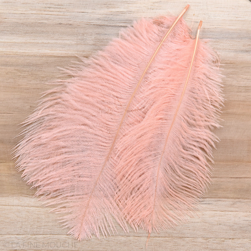 Ostrich Feathers 15-20cm - Pack of 10 feathers