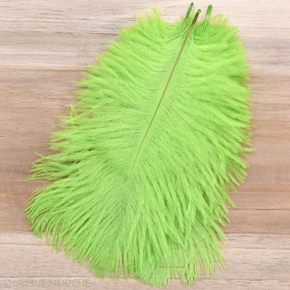 Plumes d'Autruche 15-20cm - Lot de 10 plumes