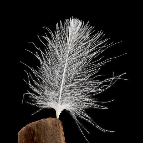 CDC Premium Duck Feathers – 1g