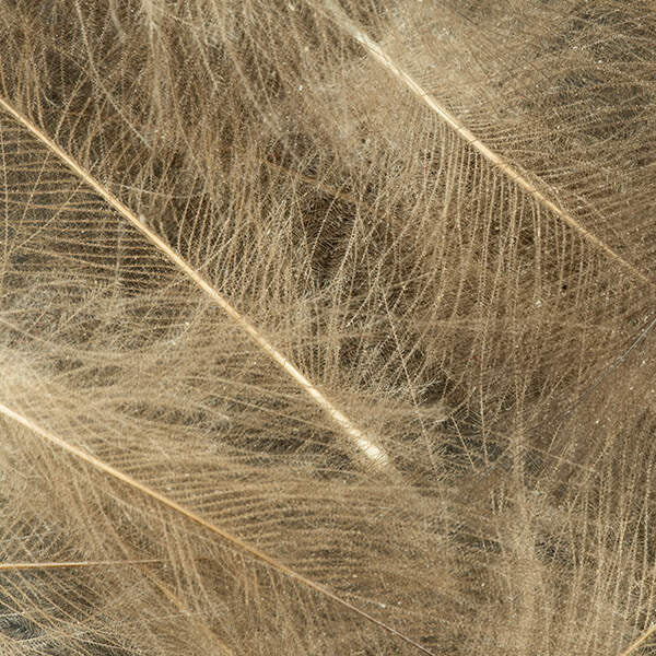 CDC Premium Duck Feathers - 1 Gram