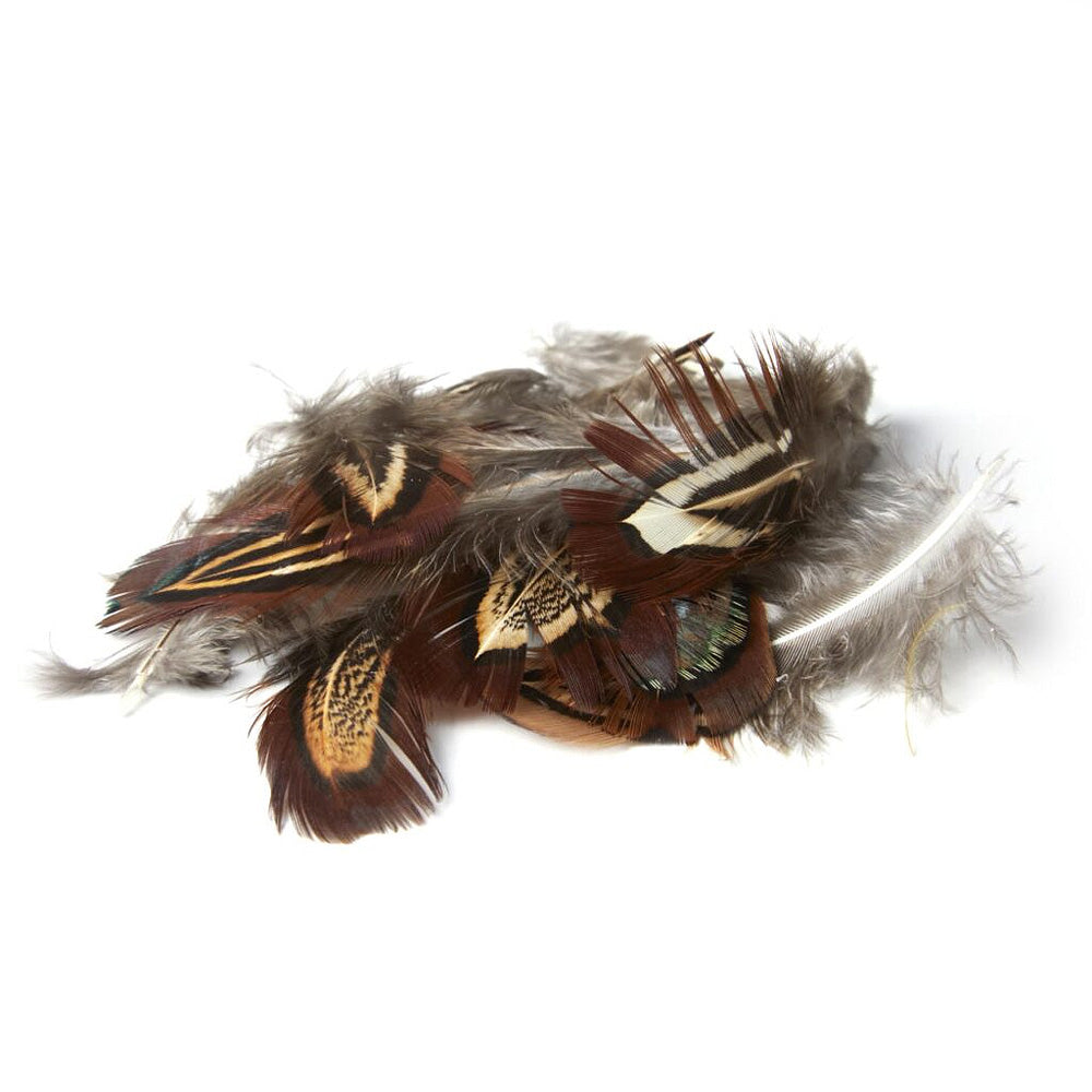 Plumes de Faisan - Pour Ailes de Sedges et Peutes