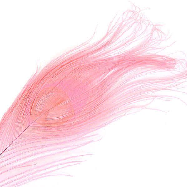 Plume Oeil de Paon 30cm - Peacock Eye - Hotfly