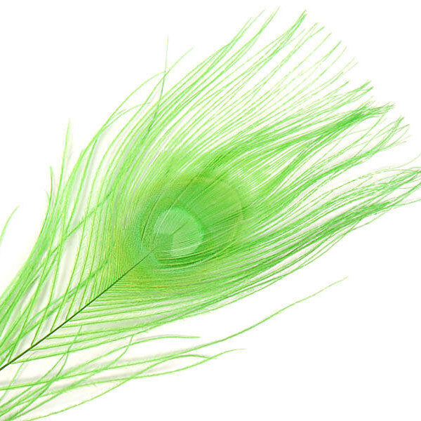 Plume Oeil de Paon 30cm - Peacock Eye - Hotfly