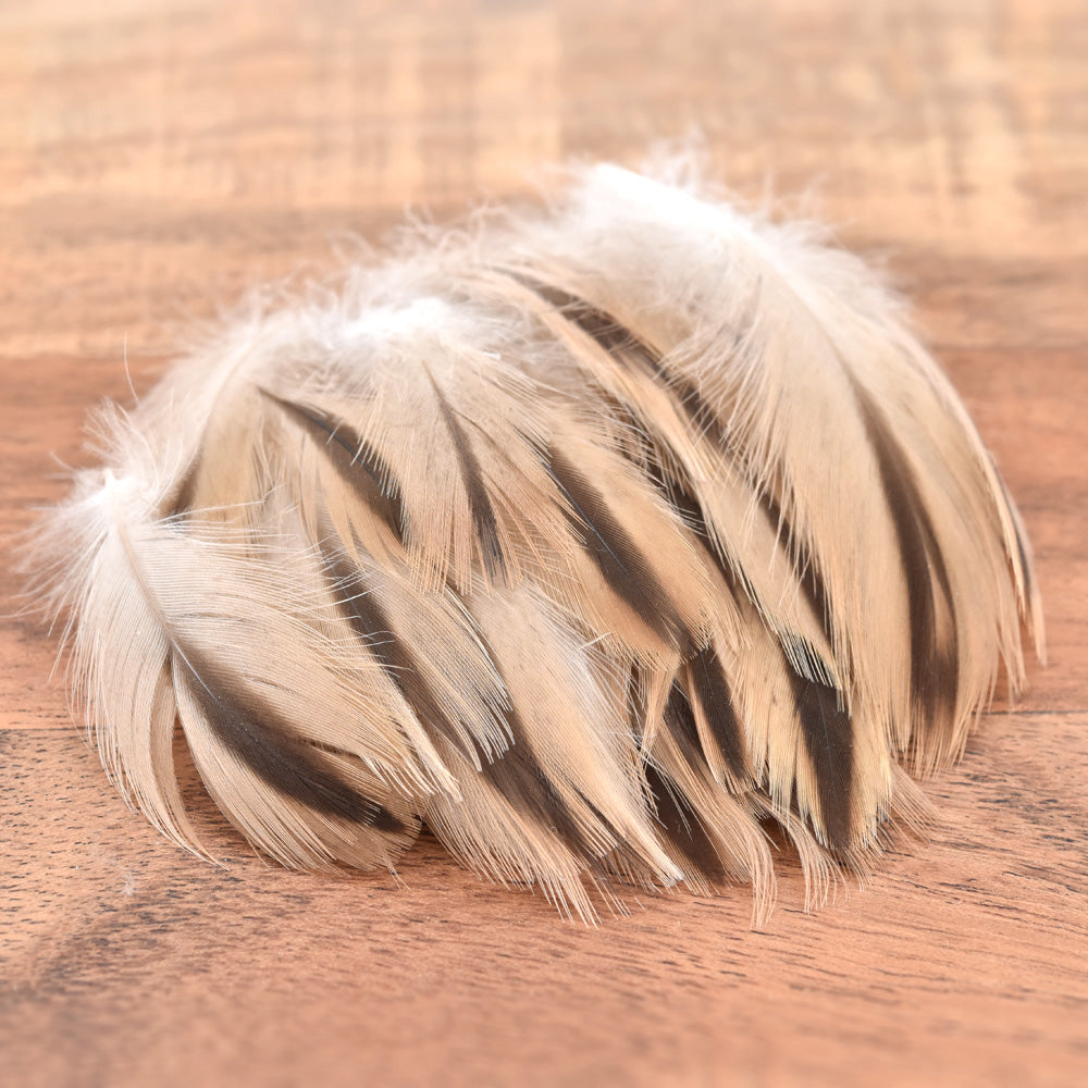 Plumes de Poitrail de Femelle Colvert (Cane)