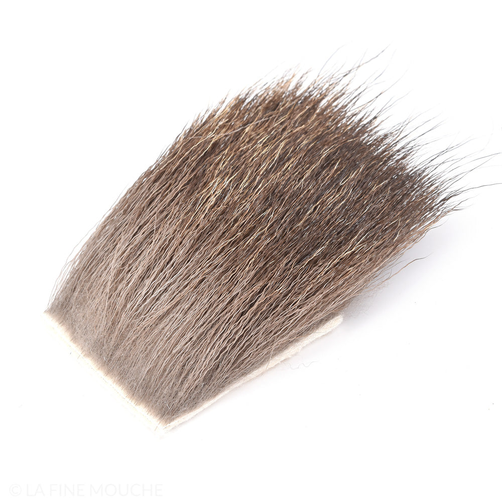 Poils de Chamois sur Peau 5x5cm