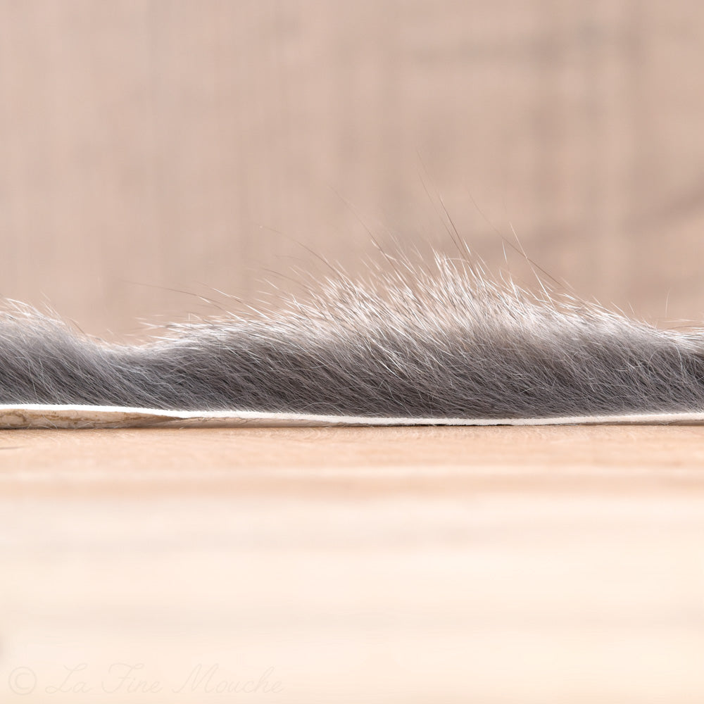 Bandelette d'écureuil gris 3mm - 60cm - 5 Couleurs
