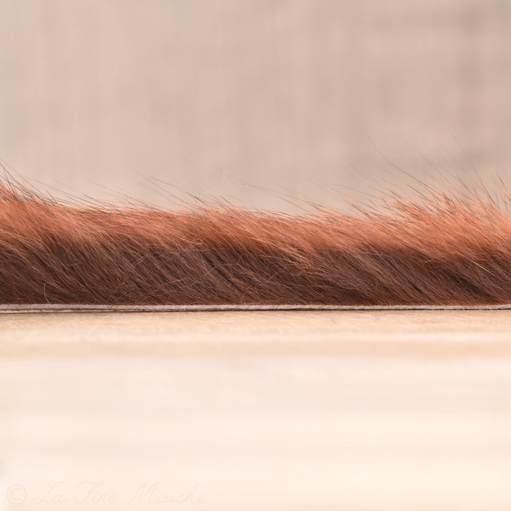 Bandelette d'écureuil gris 3mm - 60cm - 5 Couleurs