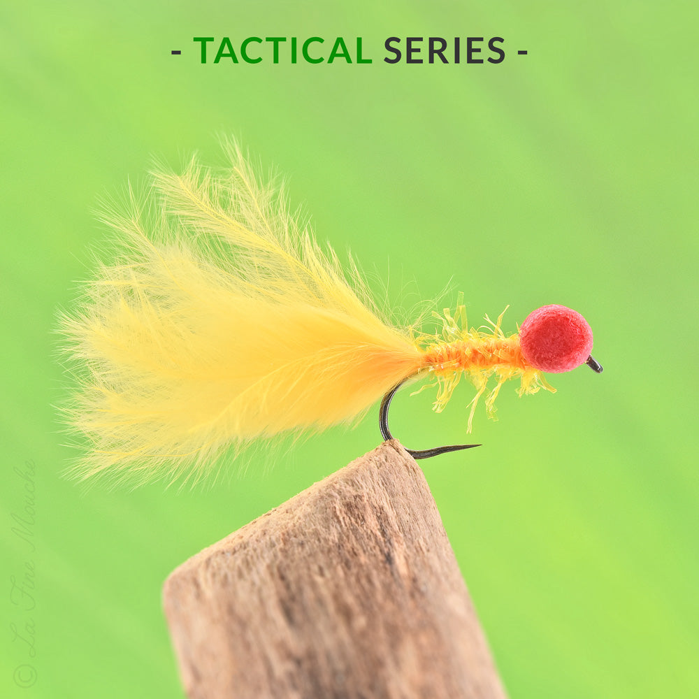 Booby Marabout Orange Oeil Rouge pour le Réservoir