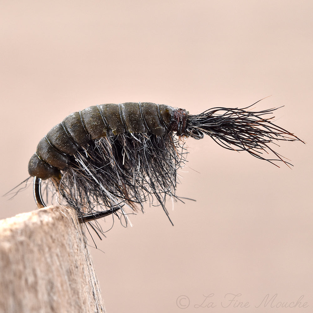 Gammarus - Dark Olive