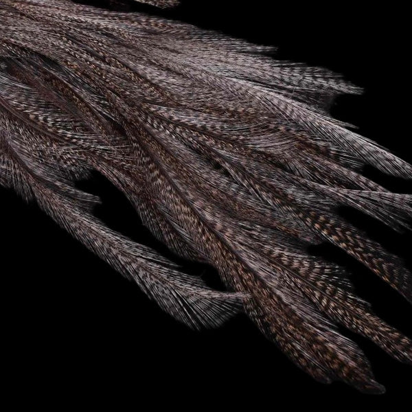 Mayfly Tail - Lancettes de Coq pour Cerques - Hends