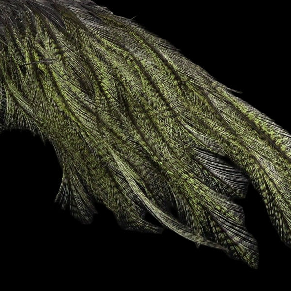 Mayfly Tail - Lancettes de Coq pour Cerques - Hends