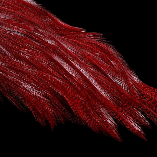 Mayfly Tail - Lancettes de Coq pour Cerques - Hends