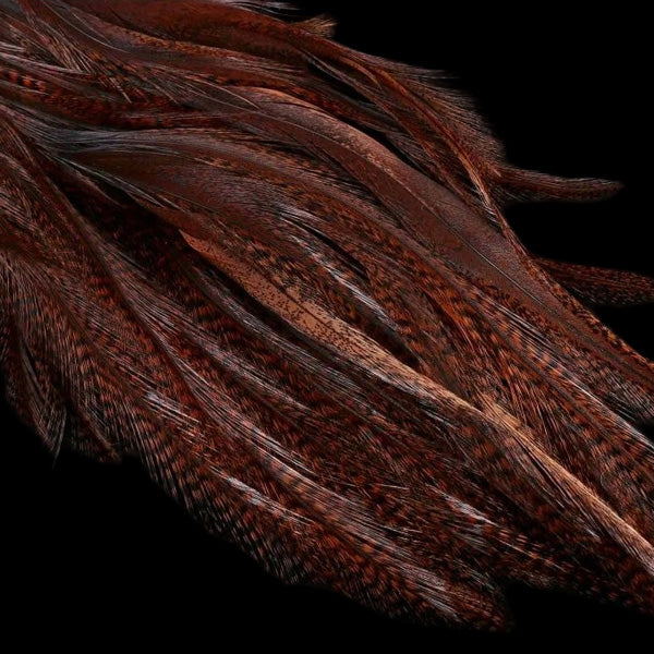 Mayfly Tail - Lancettes de Coq pour Cerques - Hends