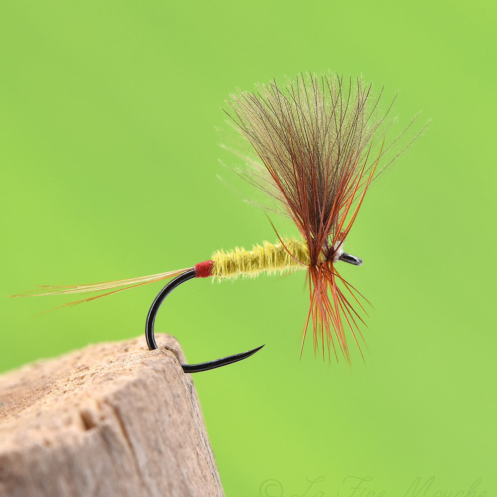 Mouche Sèche - Éphémère corps Jaune Aile CDC