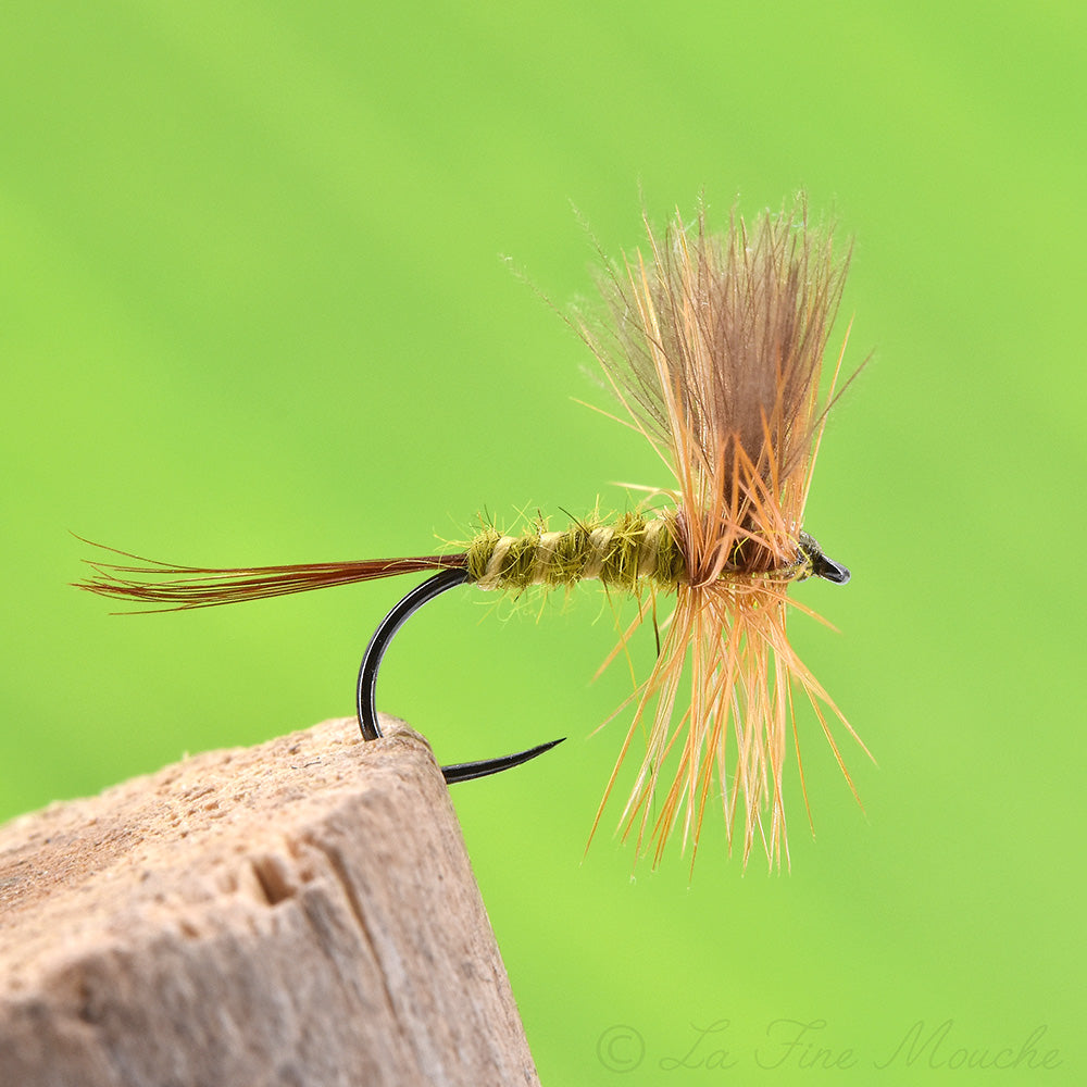 Mouche sèche Éphémère Olive Dun, corps olive cerclé de crème, bi-aile CDC et collerette rousse