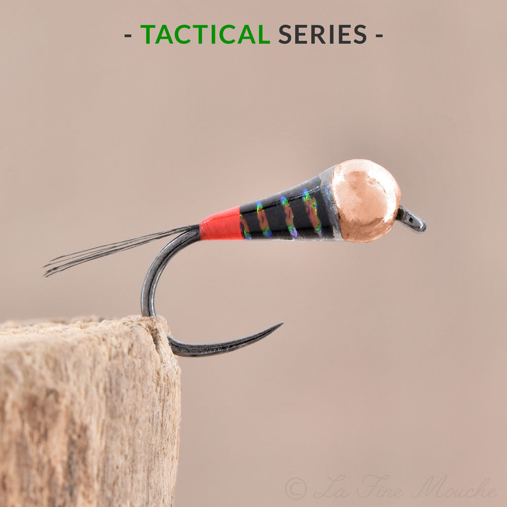 Noire à Cul Rouge La Toulousaine Nymphe Perdigone