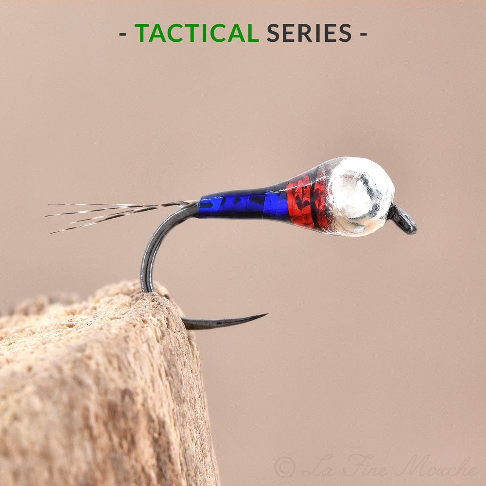 Nymphe perdigone NASA corps bleu bille argent