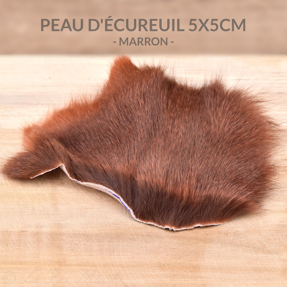 Peau d'Écureuil Gris teintée - 7 couleurs - 5x5cm