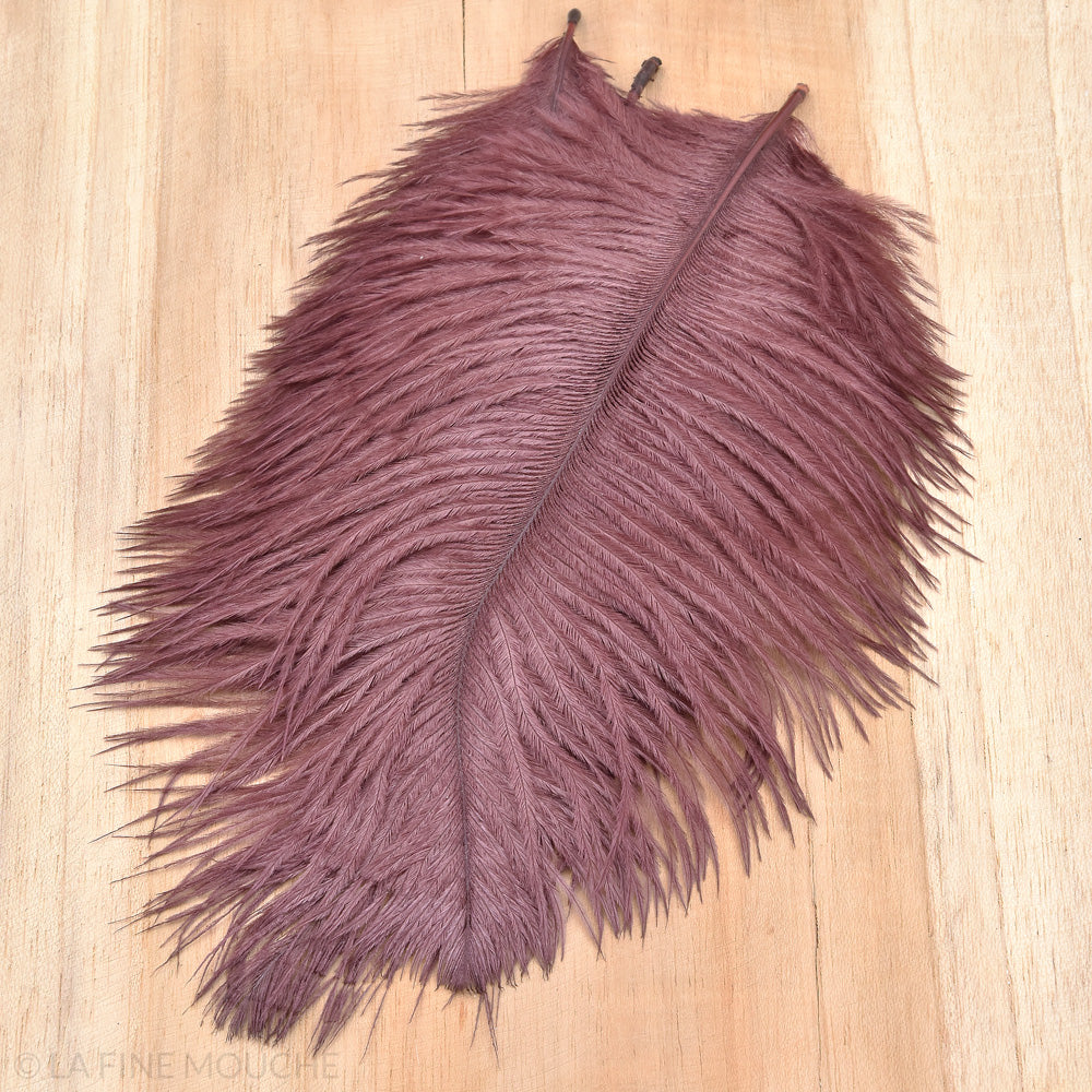 Ostrich Feathers 15-20cm - Pack of 10 feathers