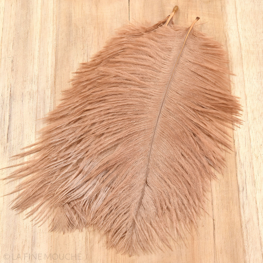 Ostrich Feathers 15-20cm - Pack of 10 feathers