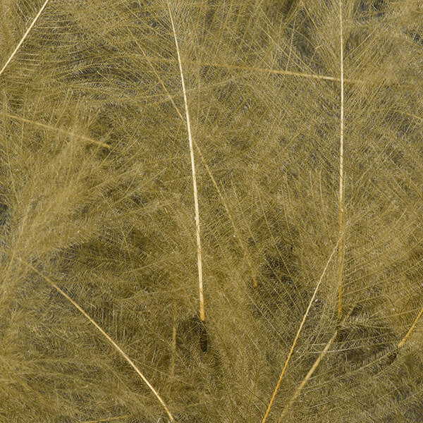 Plumes CDC - Cul de Canard - 1 Gramme - 8 Couleurs