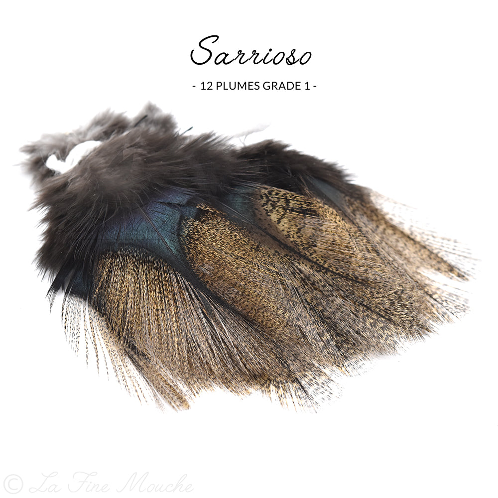 Pardo Coq de Leon Federn - Grade 1 Premium (12 Federn)