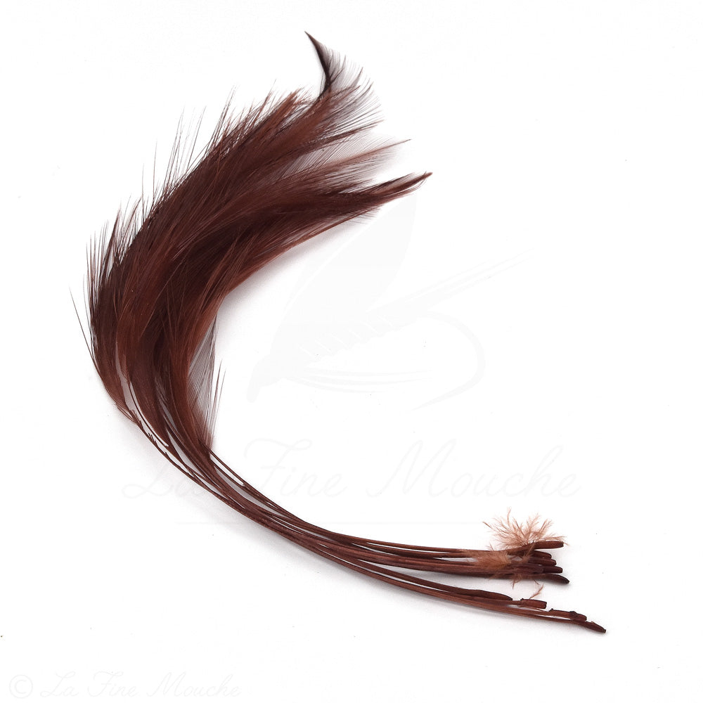 Rooster Stripped Quills - For Fly Bodies