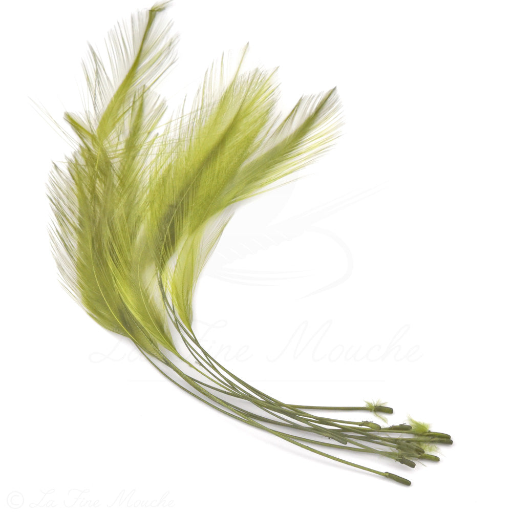 Rooster Stripped Quills - For Fly Bodies