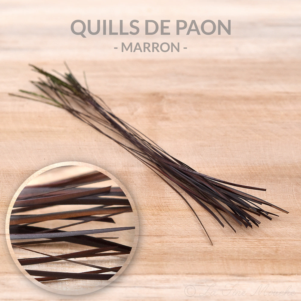 Quills de Paon ébarbés - 10 Couleurs - 25pcs
