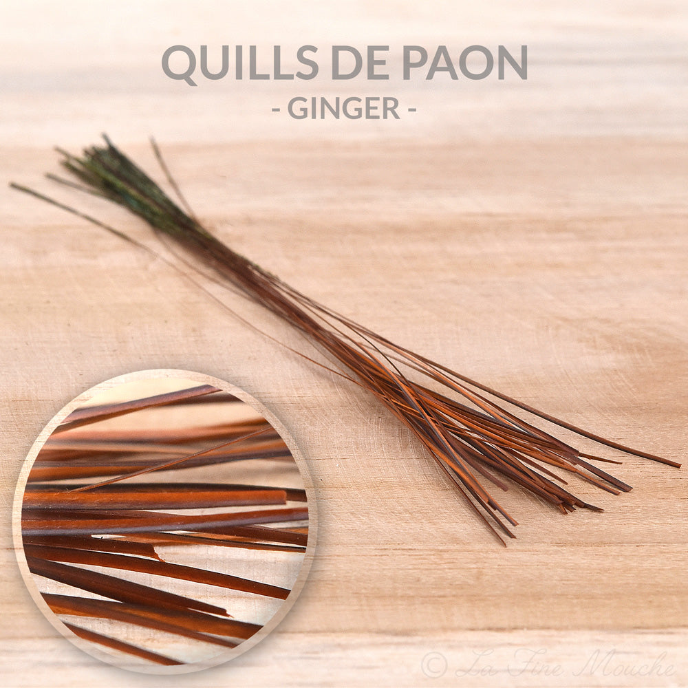 Quills de Paon ébarbés - 10 Couleurs - 25pcs