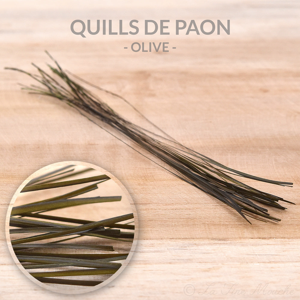 Quills de Paon ébarbés - 10 Couleurs - 25pcs