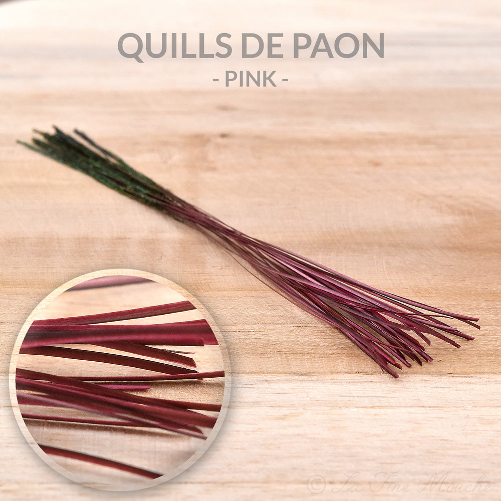 Quills de Paon ébarbés - 10 Couleurs - 25pcs