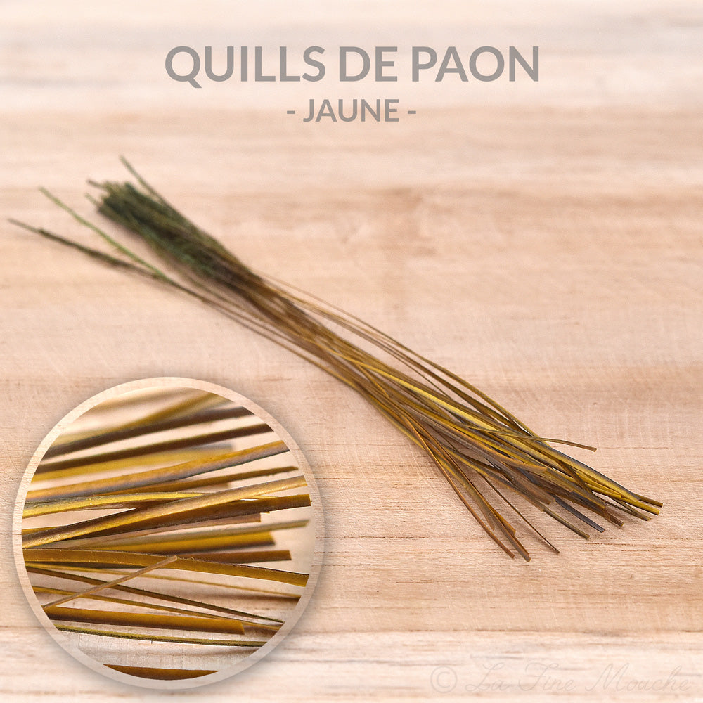 Quills de Paon ébarbés - 10 Couleurs - 25pcs