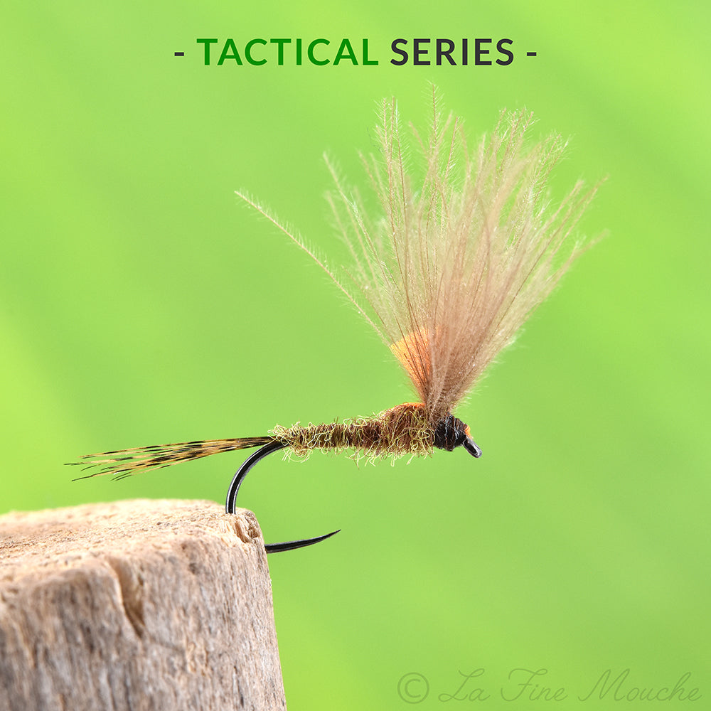 Mouche Sèche - Éphémère Bi-Aile CDC - Corps Marron Olive Clair