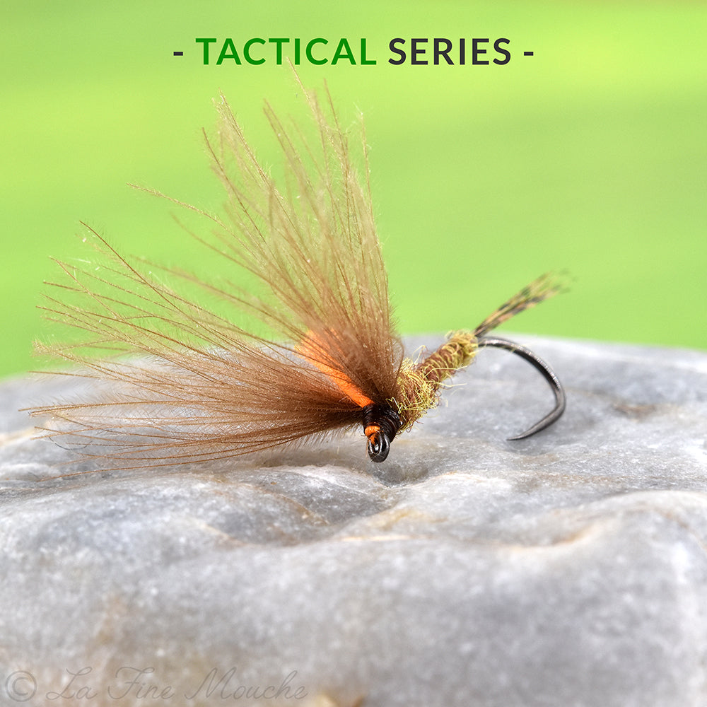 Éphémère Bi-Aile CDC Corps Marron Olive Clair