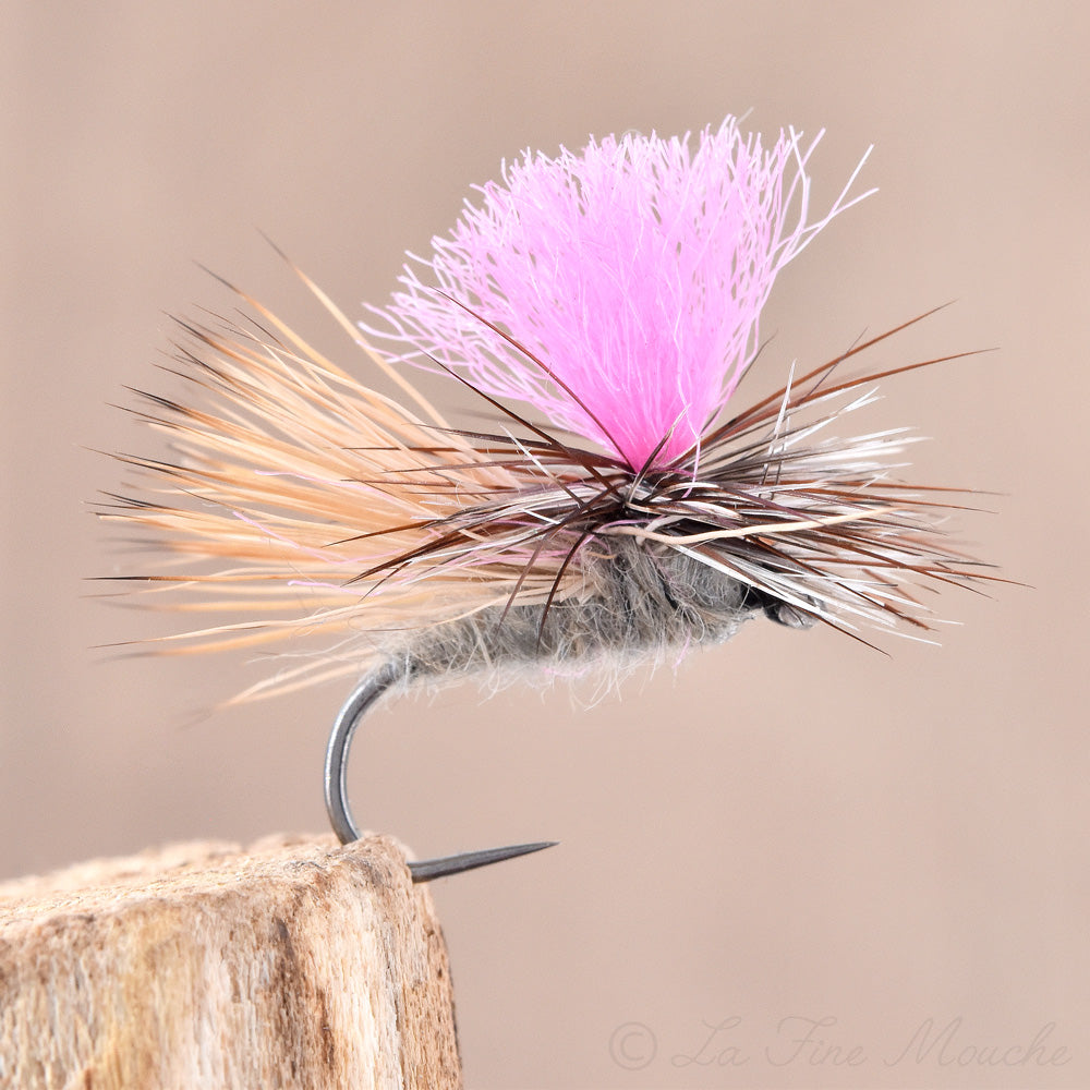 Sedge Tavabans Tabanas toupet rose UV