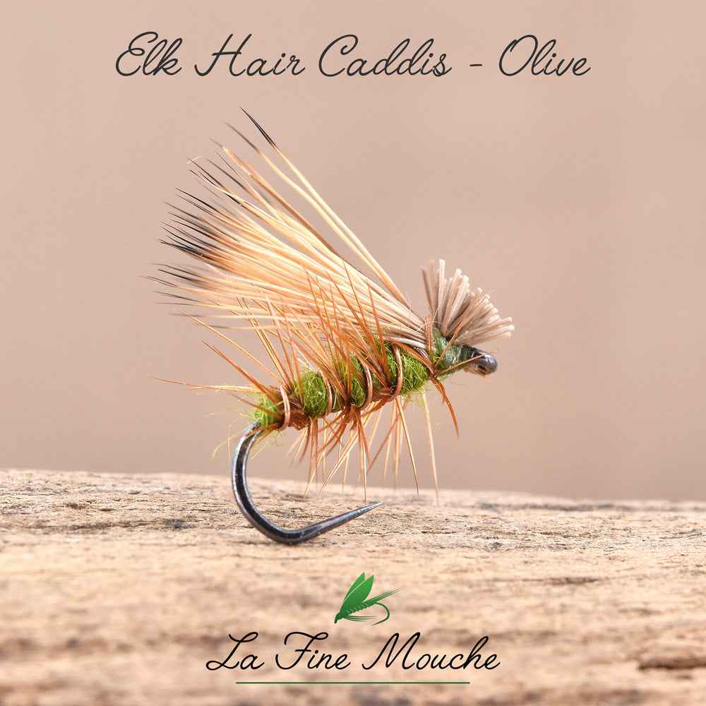 Mouche Sèche - Sedge Elk Hair Caddis Olive