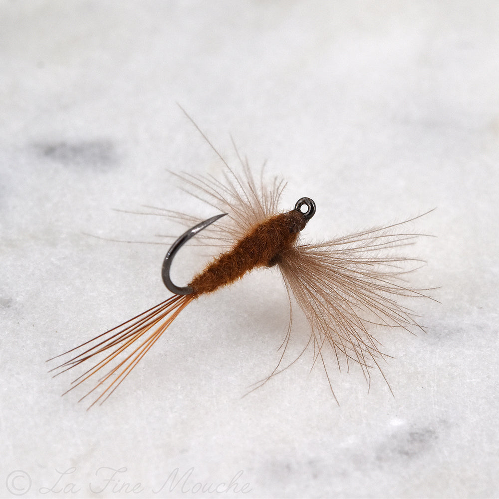 Mouche Sèche Corps Marron
