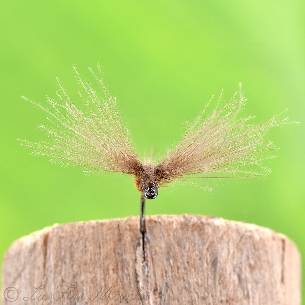 Mouche Sèche - Spinner CDC - Corps Marron