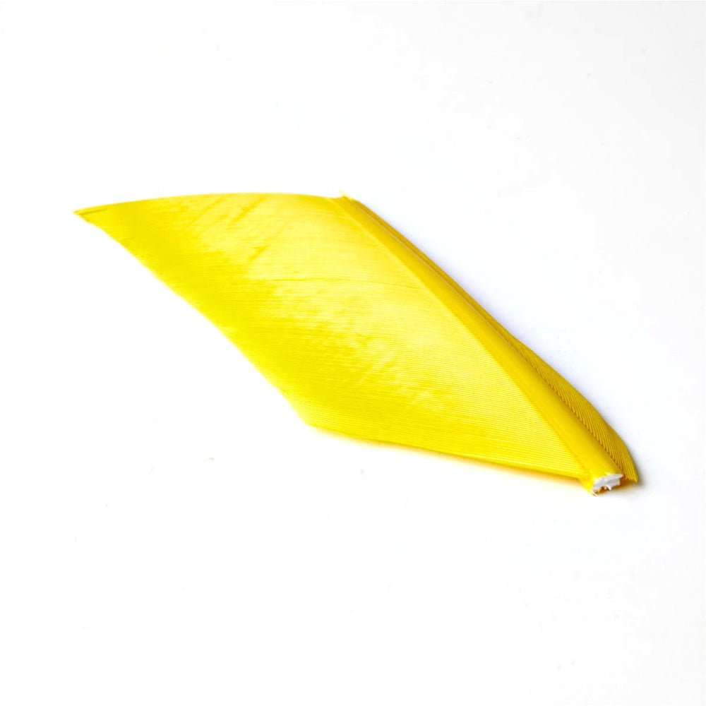 Substitut de Condor - 1 Plume - JMC